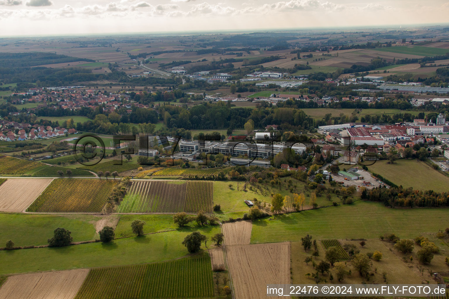 Lycé Stanislas in the district Altenstadt in Wissembourg in the state Bas-Rhin, France