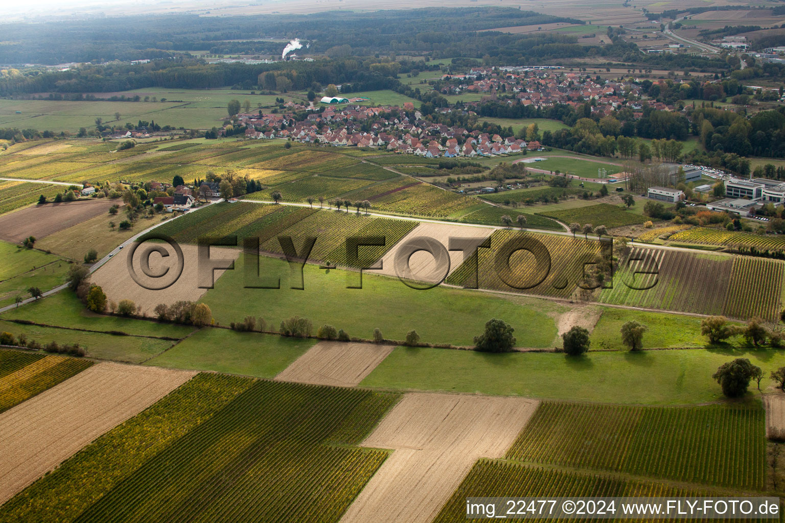 District Altenstadt in Wissembourg in the state Bas-Rhin, France seen from above