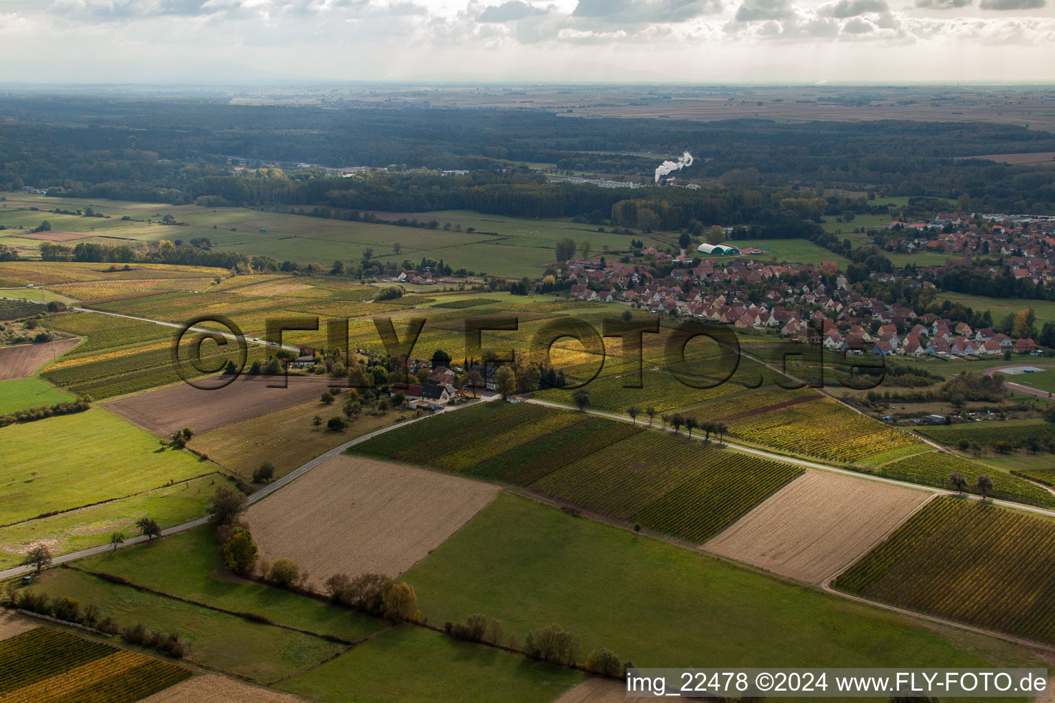 District Altenstadt in Wissembourg in the state Bas-Rhin, France from the plane