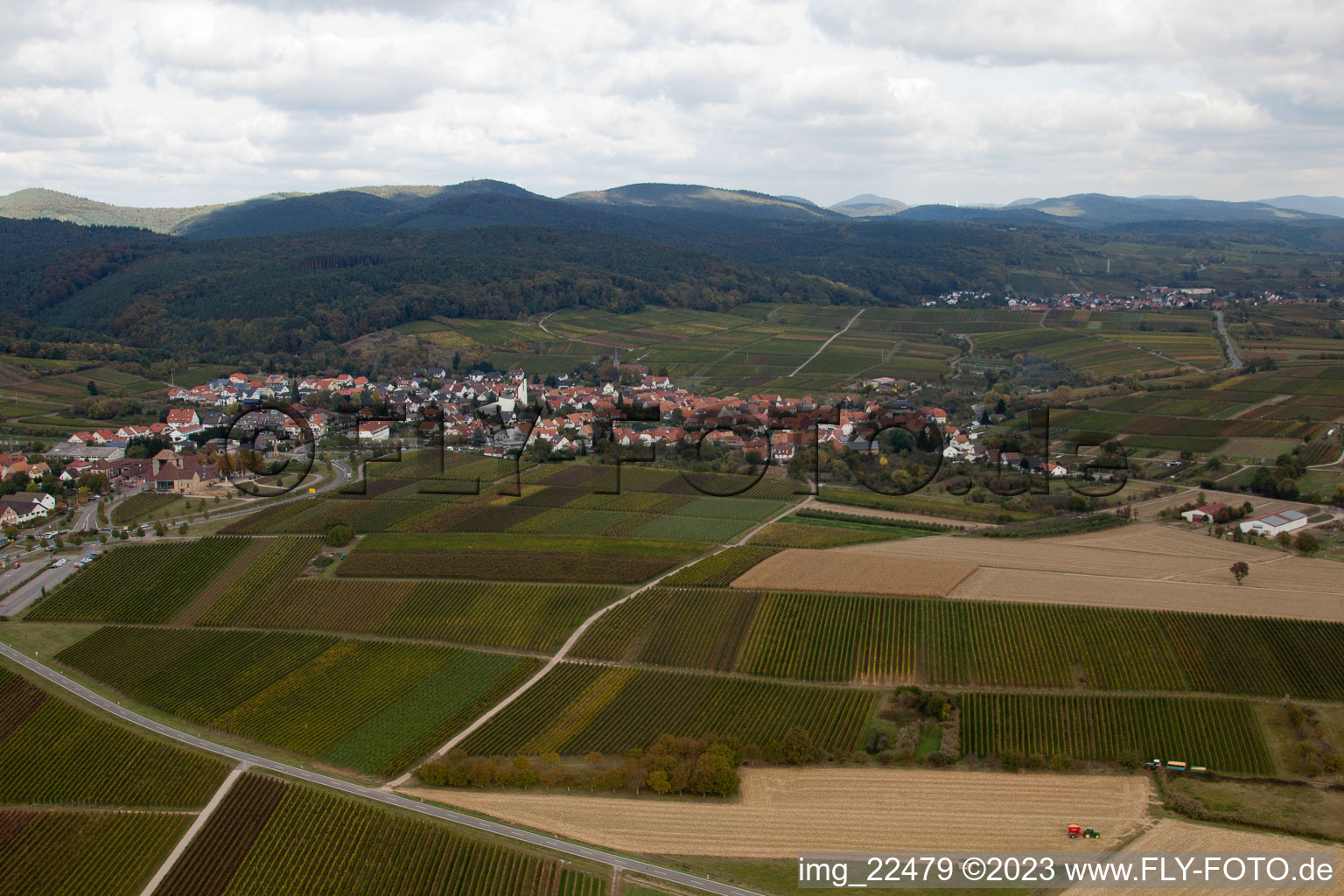 Oblique view of District Rechtenbach in Schweigen-Rechtenbach in the state Rhineland-Palatinate, Germany