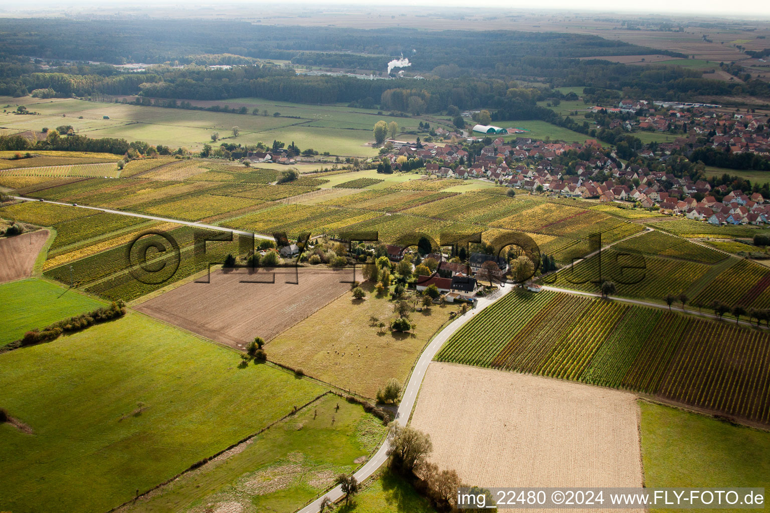 Wind farm in Schweighofen in the state Rhineland-Palatinate, Germany