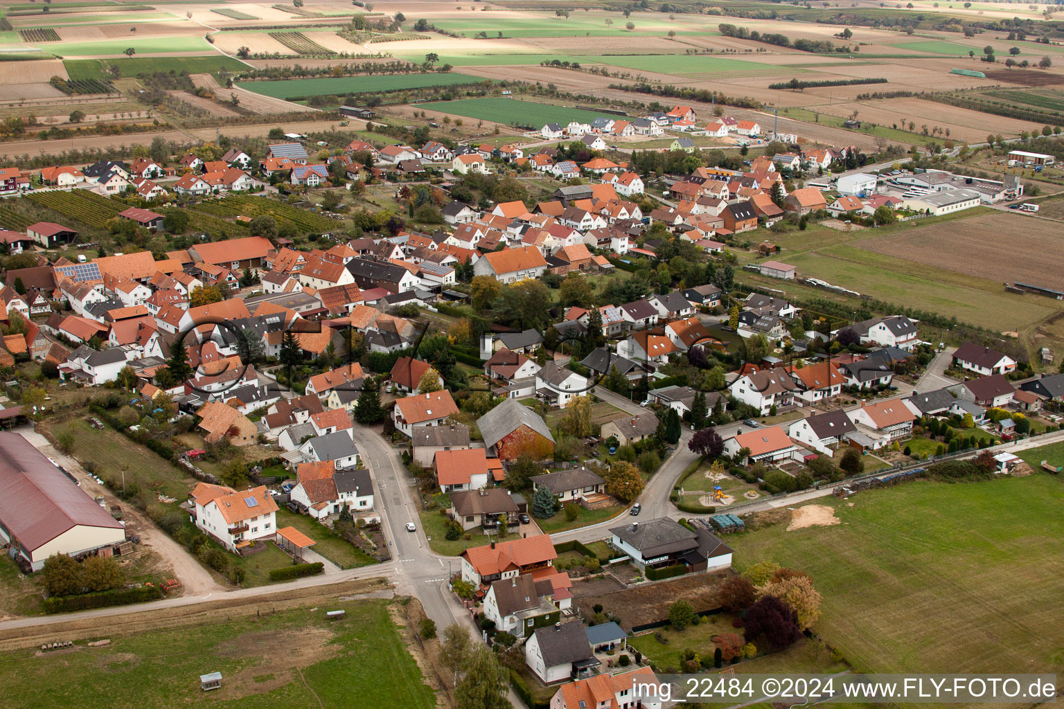 Schweighofen in the state Rhineland-Palatinate, Germany from a drone