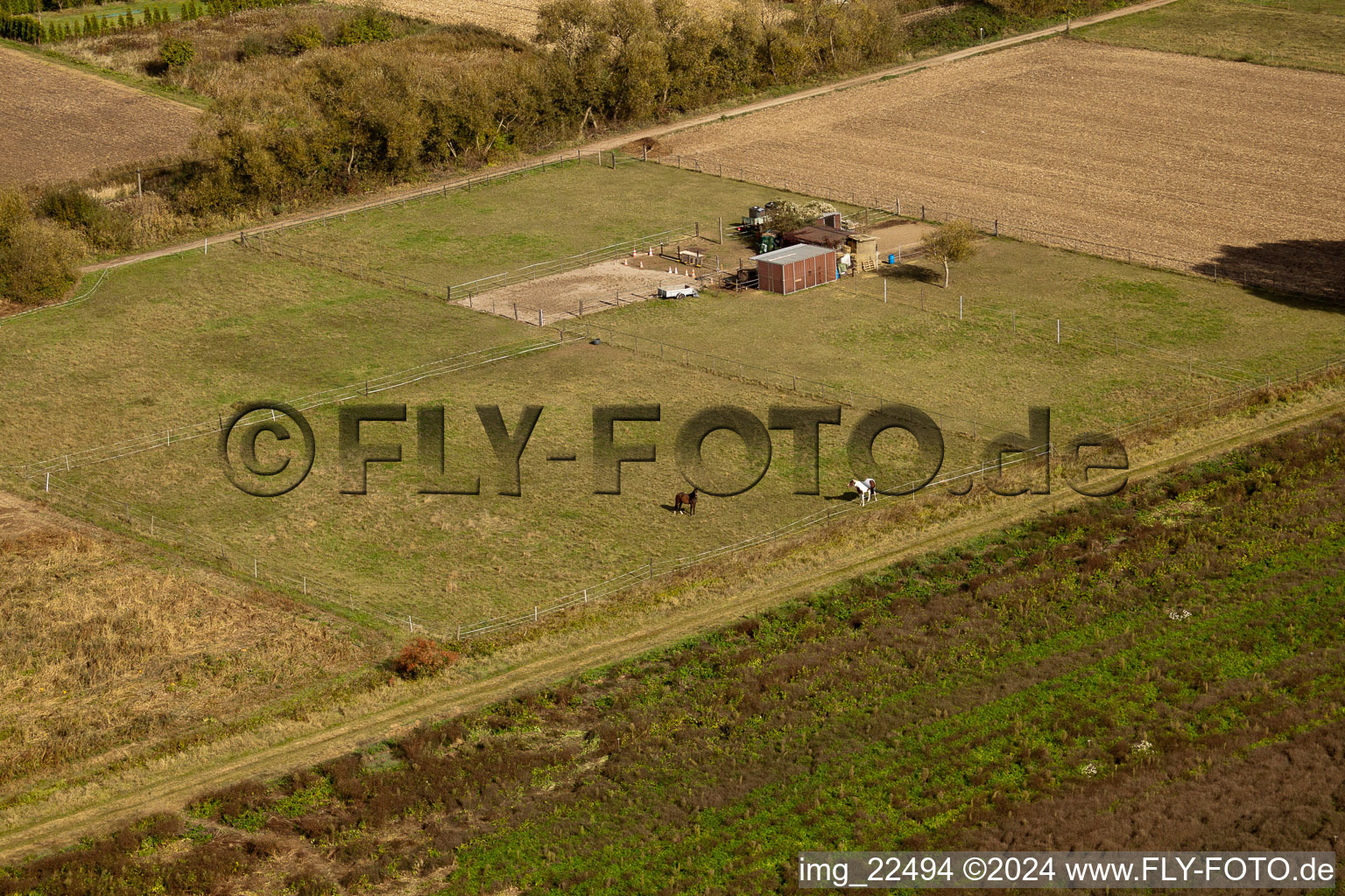 Aerial photograpy of Steinfeld in the state Rhineland-Palatinate, Germany