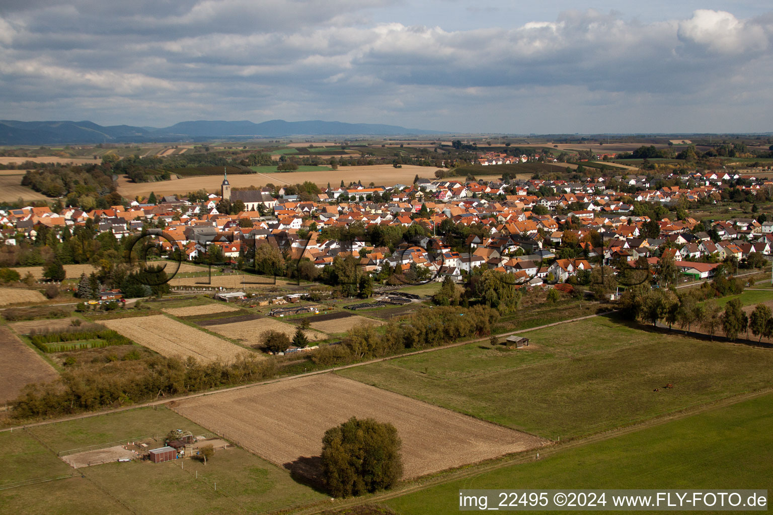 Oblique view of Steinfeld in the state Rhineland-Palatinate, Germany