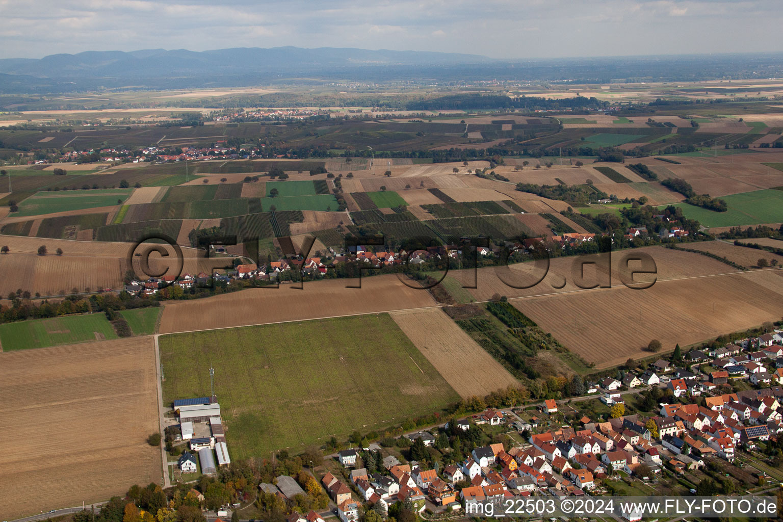 District Schaidt in Wörth am Rhein in the state Rhineland-Palatinate, Germany seen from a drone