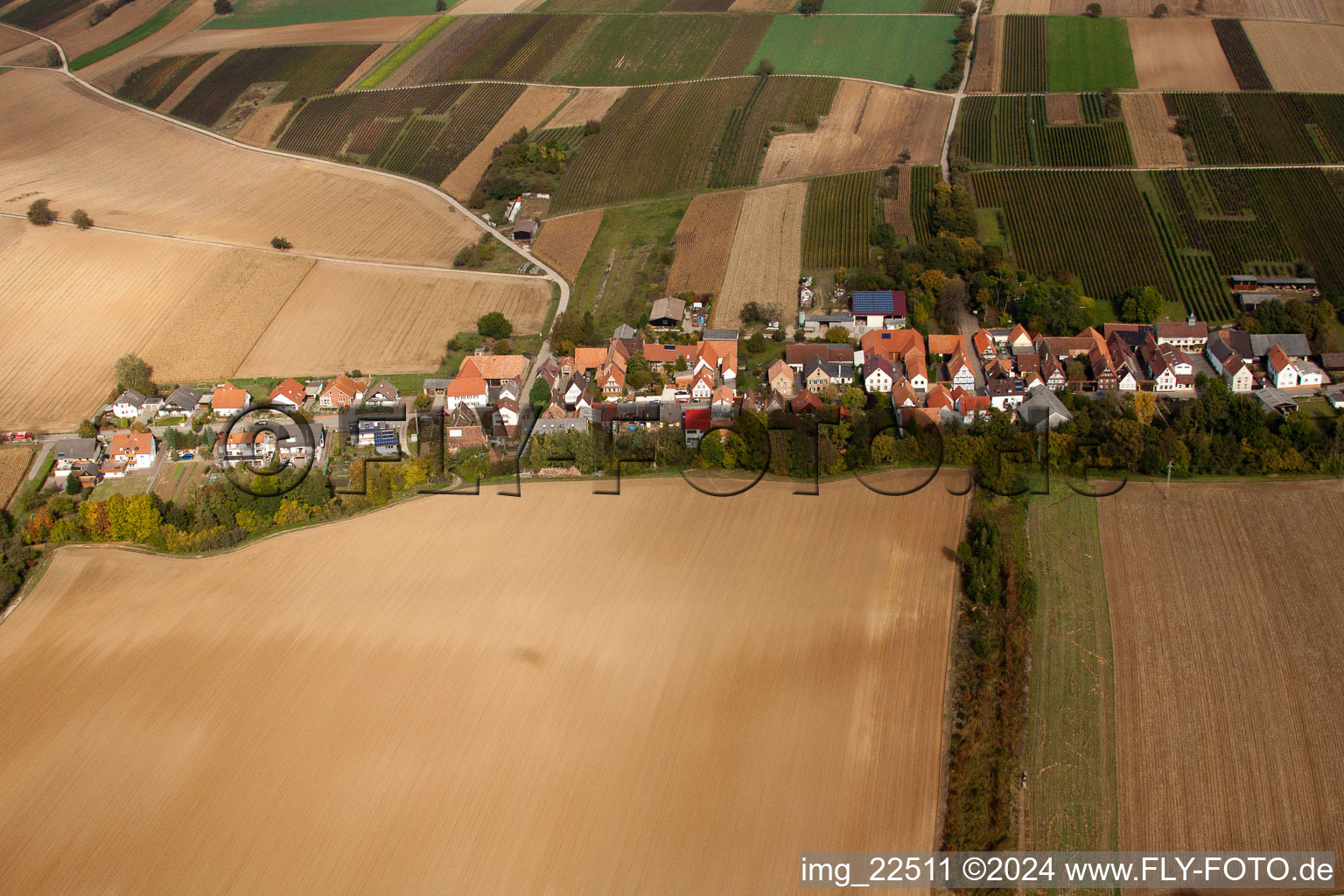 Vollmersweiler in the state Rhineland-Palatinate, Germany from the drone perspective