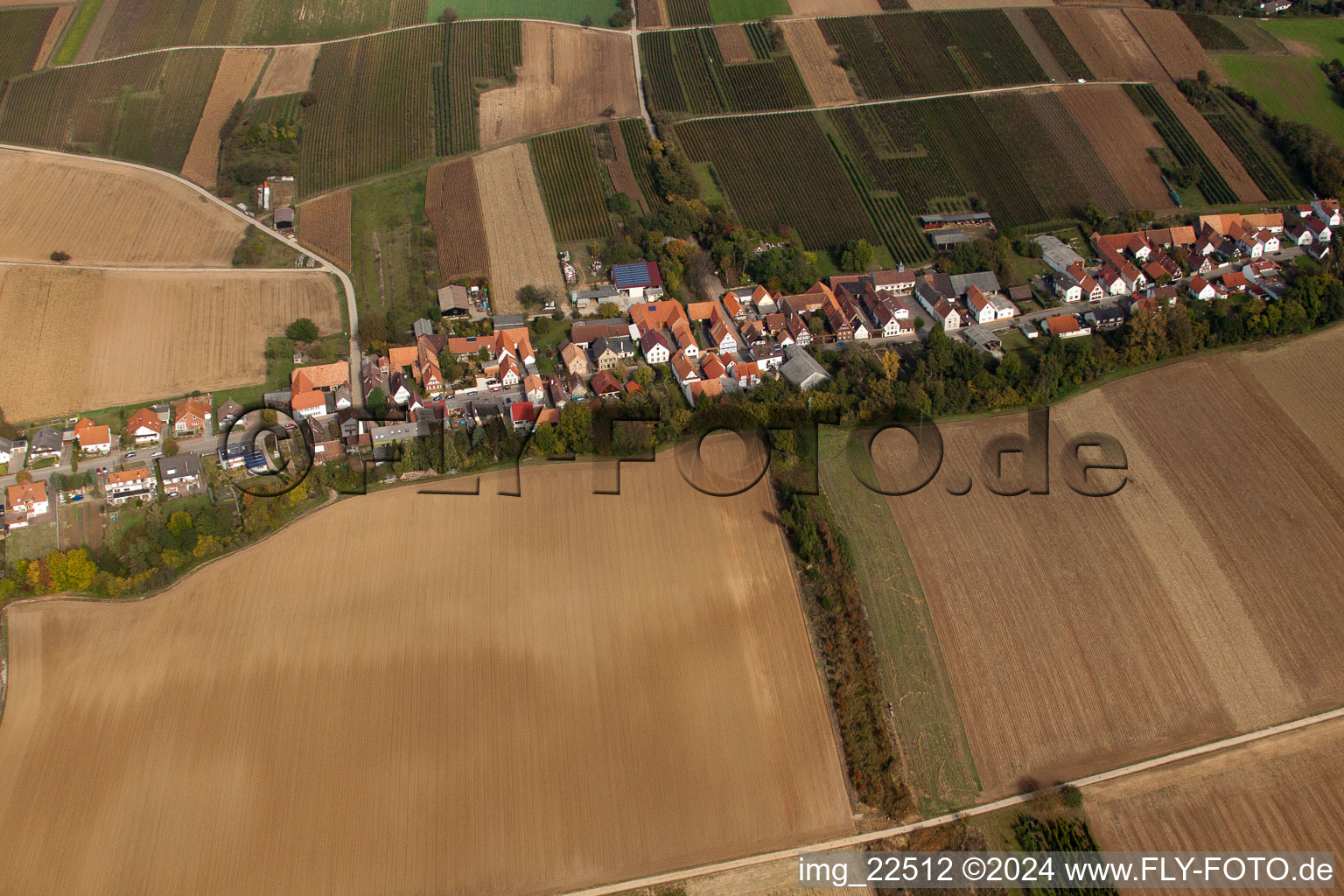 Vollmersweiler in the state Rhineland-Palatinate, Germany from a drone