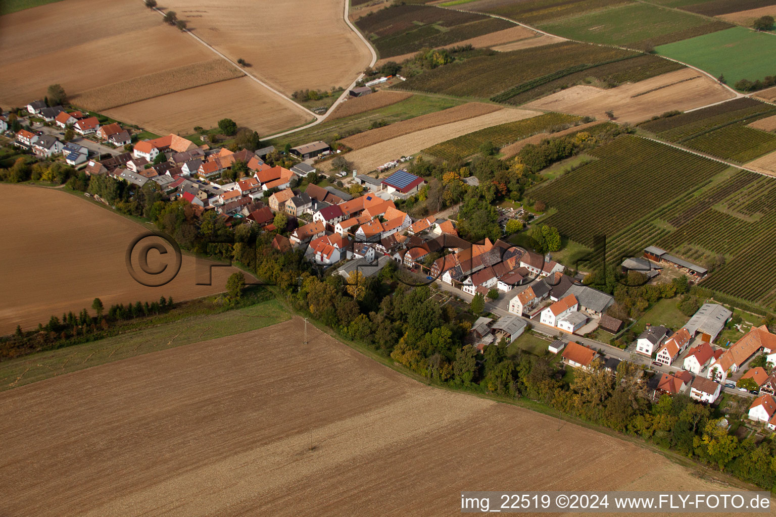 Oblique view of Village - view on the edge of agricultural fields and farmland in Vollmersweiler in the state Rhineland-Palatinate