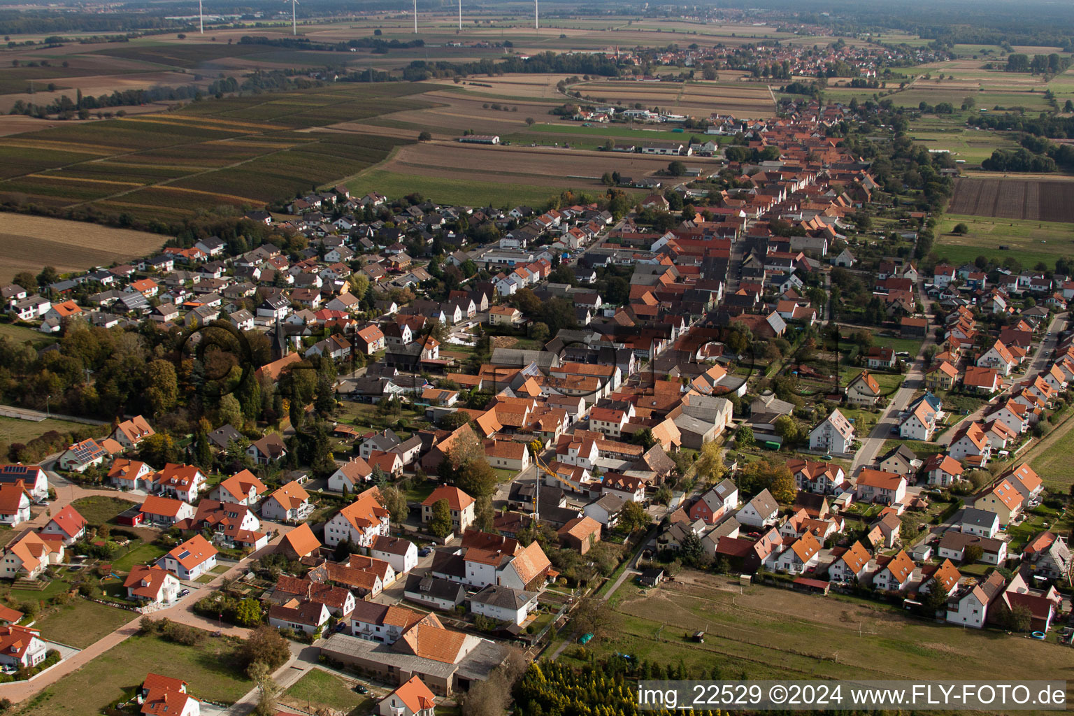 Freckenfeld in the state Rhineland-Palatinate, Germany from above