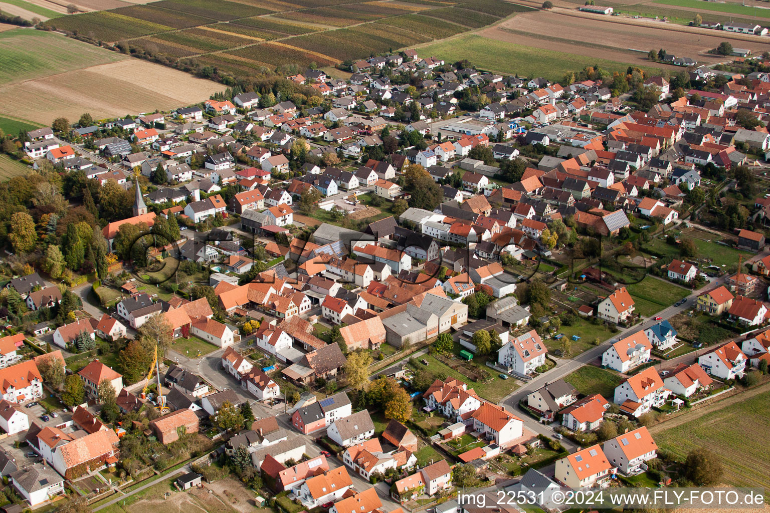 Aerial photograpy of Village - view on the edge of agricultural fields and farmland in Freckenfeld in the state Rhineland-Palatinate