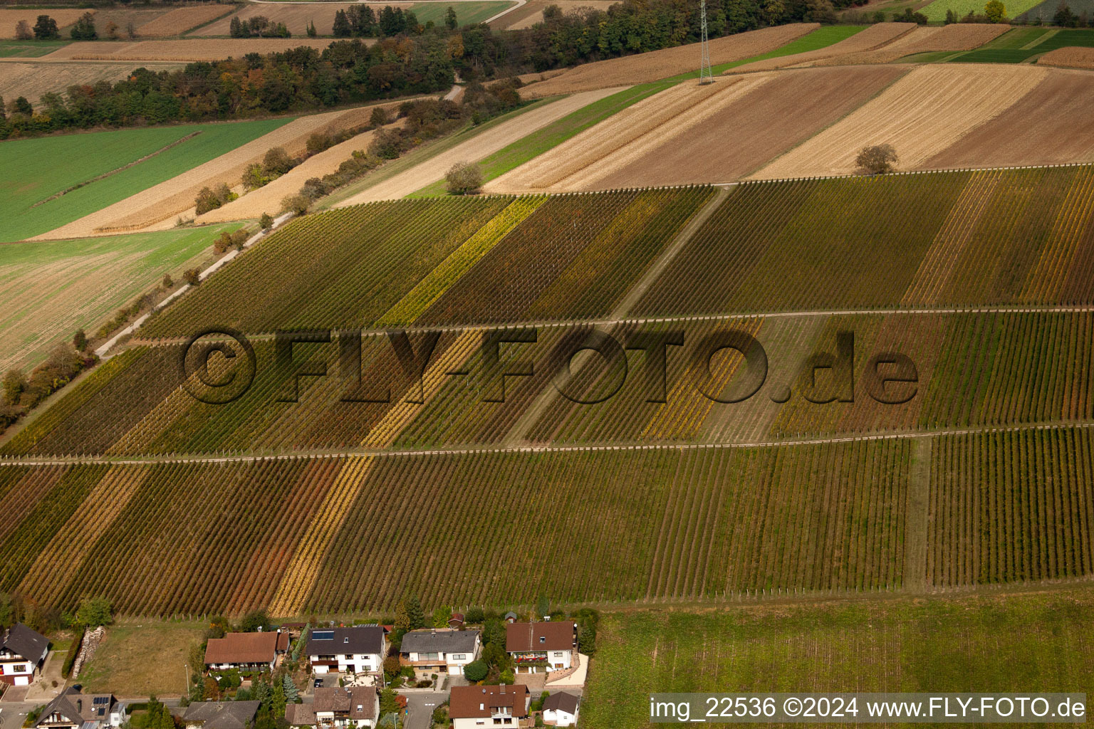 Vineyards between Freckenfeld and Winden in Freckenfeld in the state Rhineland-Palatinate, Germany