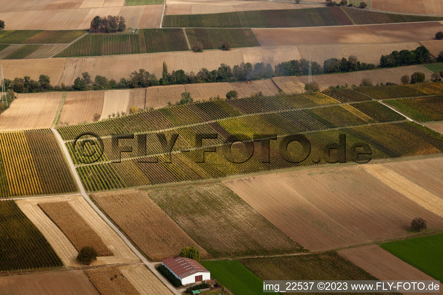 Aerial view of Vineyards between Freckenfeld and Winden in Freckenfeld in the state Rhineland-Palatinate, Germany