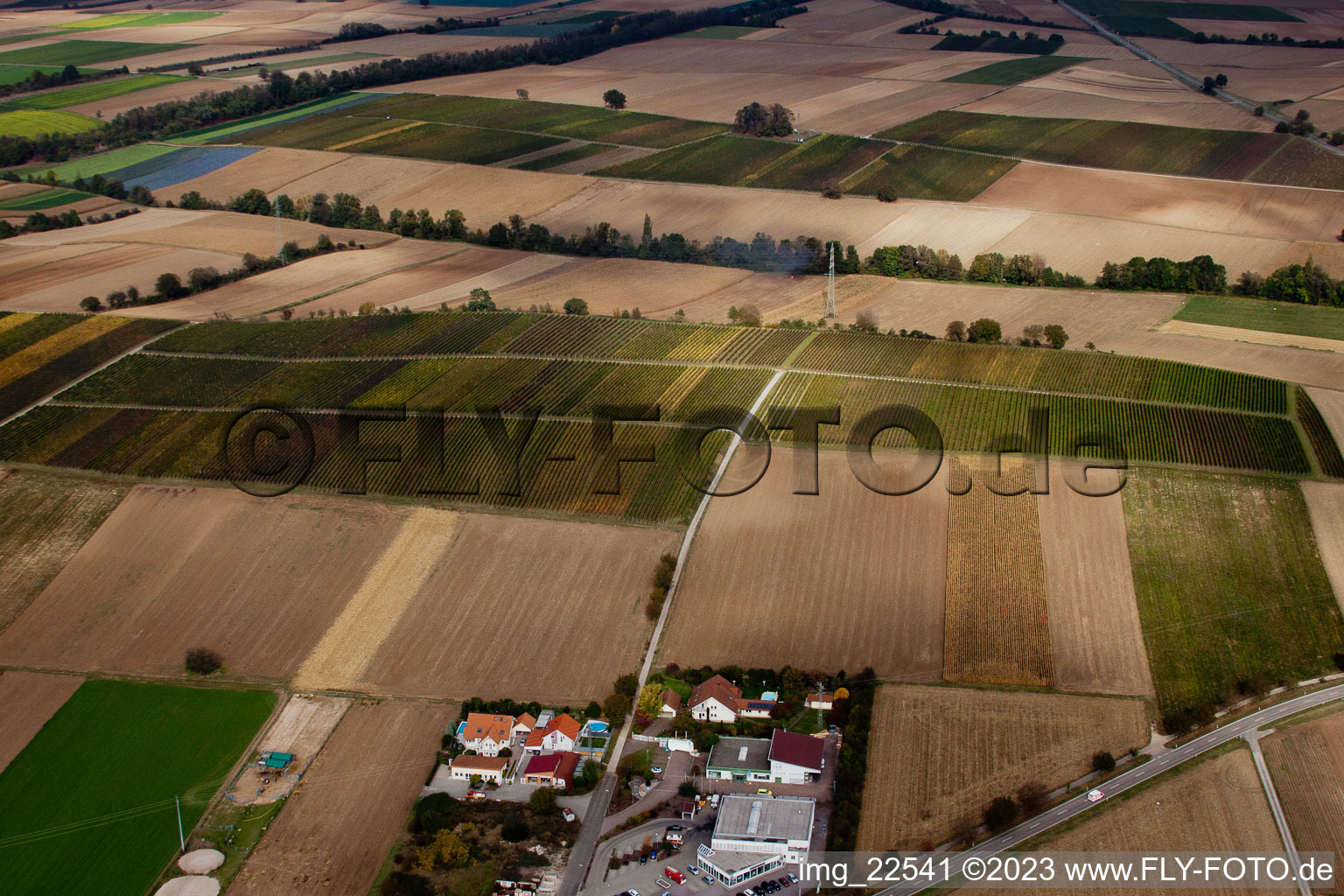 Aerial photograpy of Vineyards between Freckenfeld and Winden in Freckenfeld in the state Rhineland-Palatinate, Germany