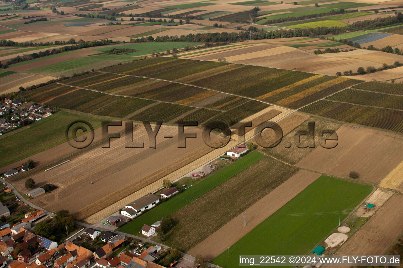 Freckenfeld in the state Rhineland-Palatinate, Germany viewn from the air