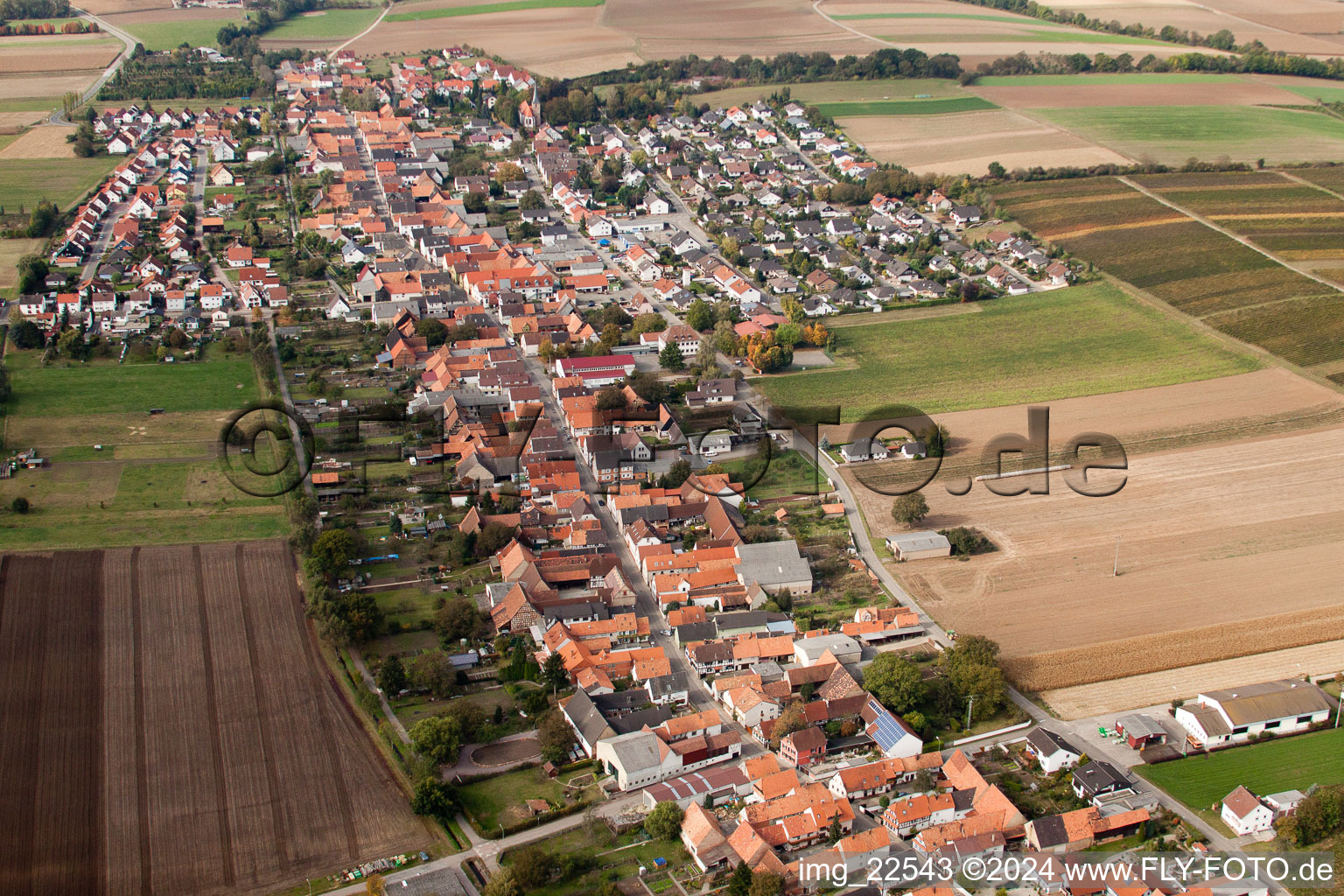 Drone recording of Freckenfeld in the state Rhineland-Palatinate, Germany