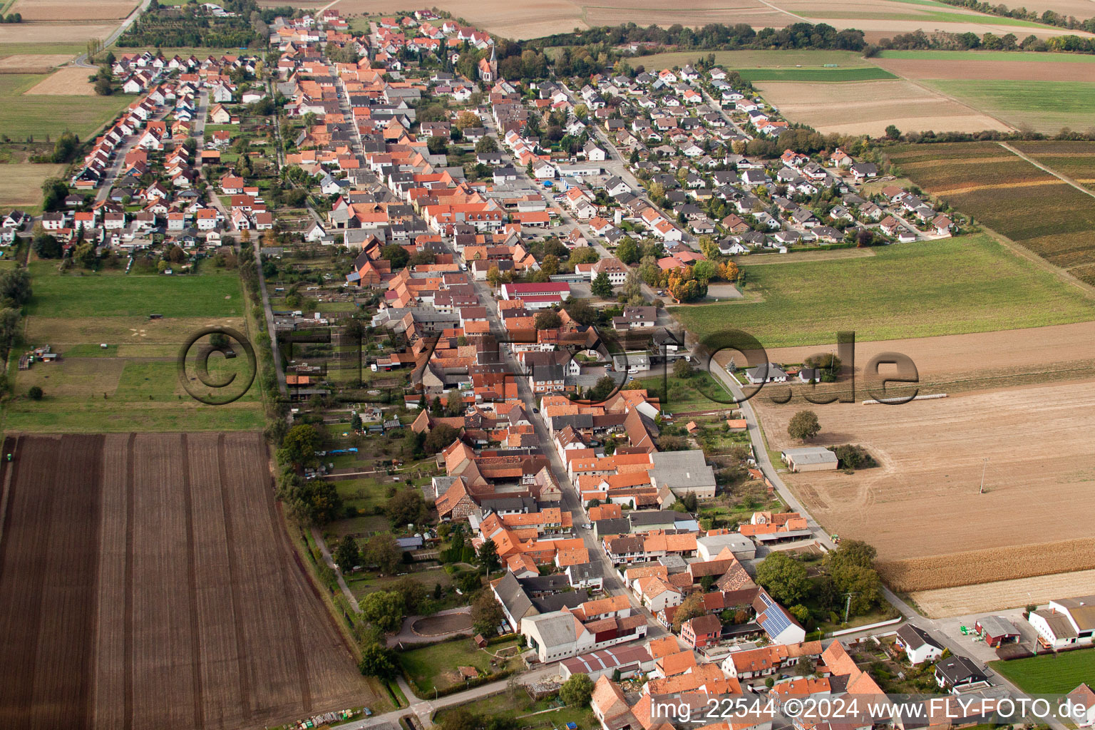 Oblique view of Village - view on the edge of agricultural fields and farmland in Freckenfeld in the state Rhineland-Palatinate