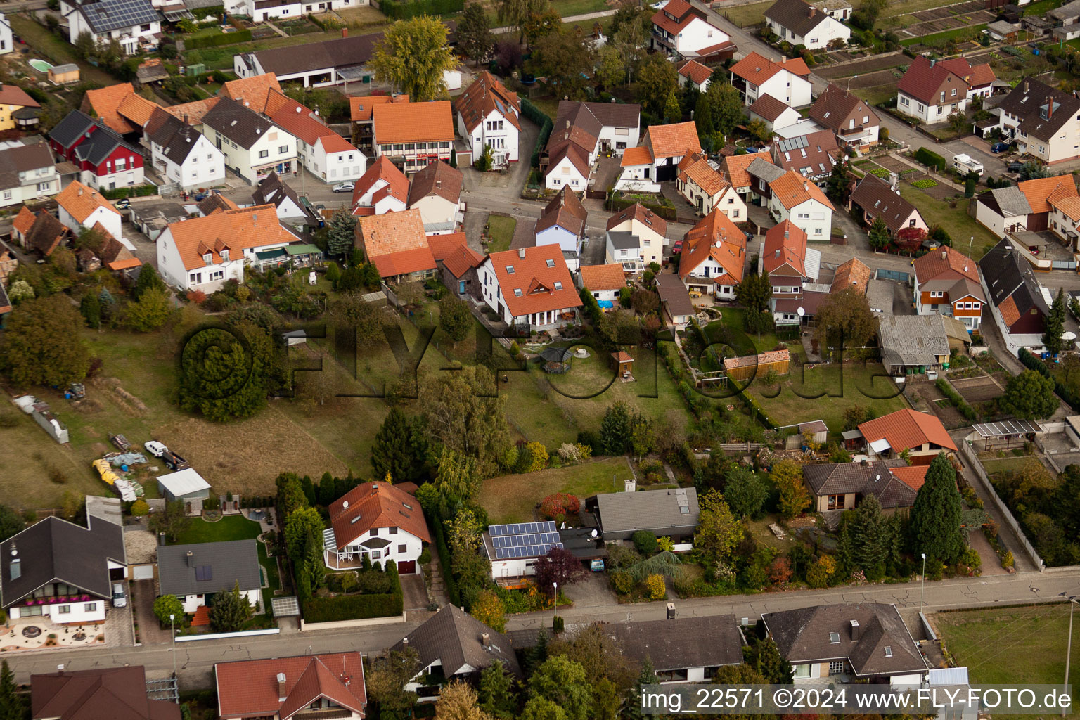 Bird's eye view of Minfeld in the state Rhineland-Palatinate, Germany