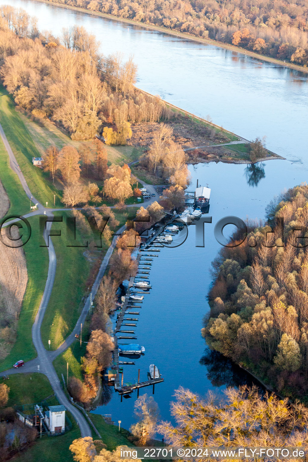 River estuary of the Lauter into the Rhine in Neuburg am Rhein in the state Rhineland-Palatinate, Germany