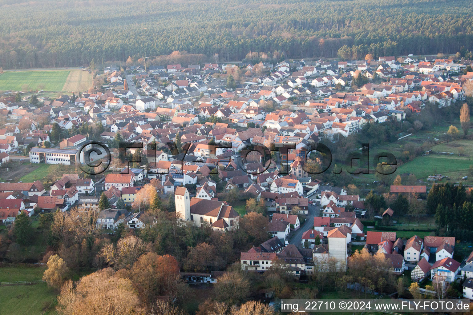 Village view in Berg (Pfalz) in the state Rhineland-Palatinate out of the air
