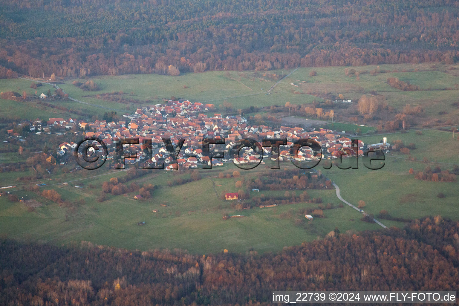 Drone image of District Büchelberg in Wörth am Rhein in the state Rhineland-Palatinate, Germany