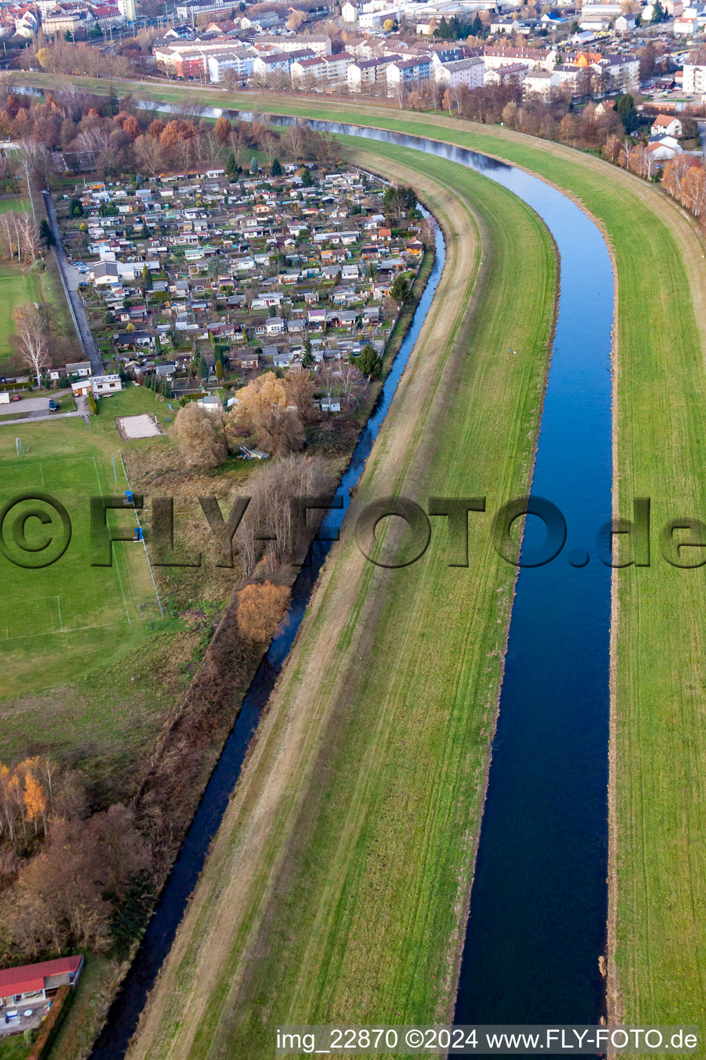 Swallow Rain in Rastatt in the state Baden-Wuerttemberg, Germany