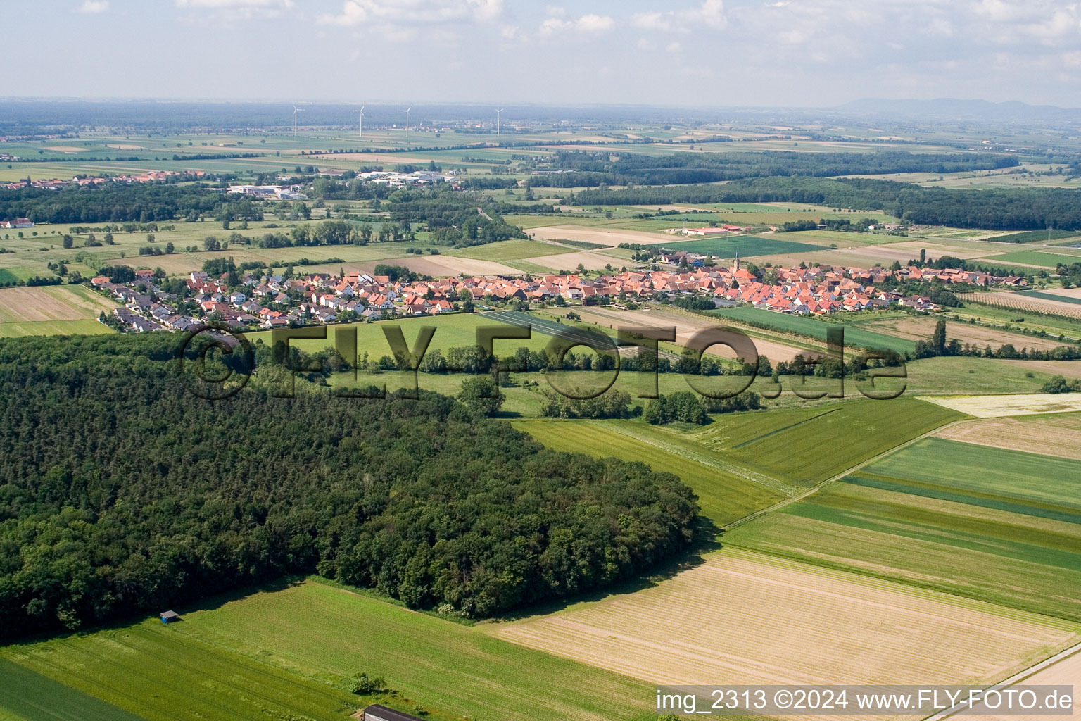 Aerial photograpy of From the north in Erlenbach bei Kandel in the state Rhineland-Palatinate, Germany
