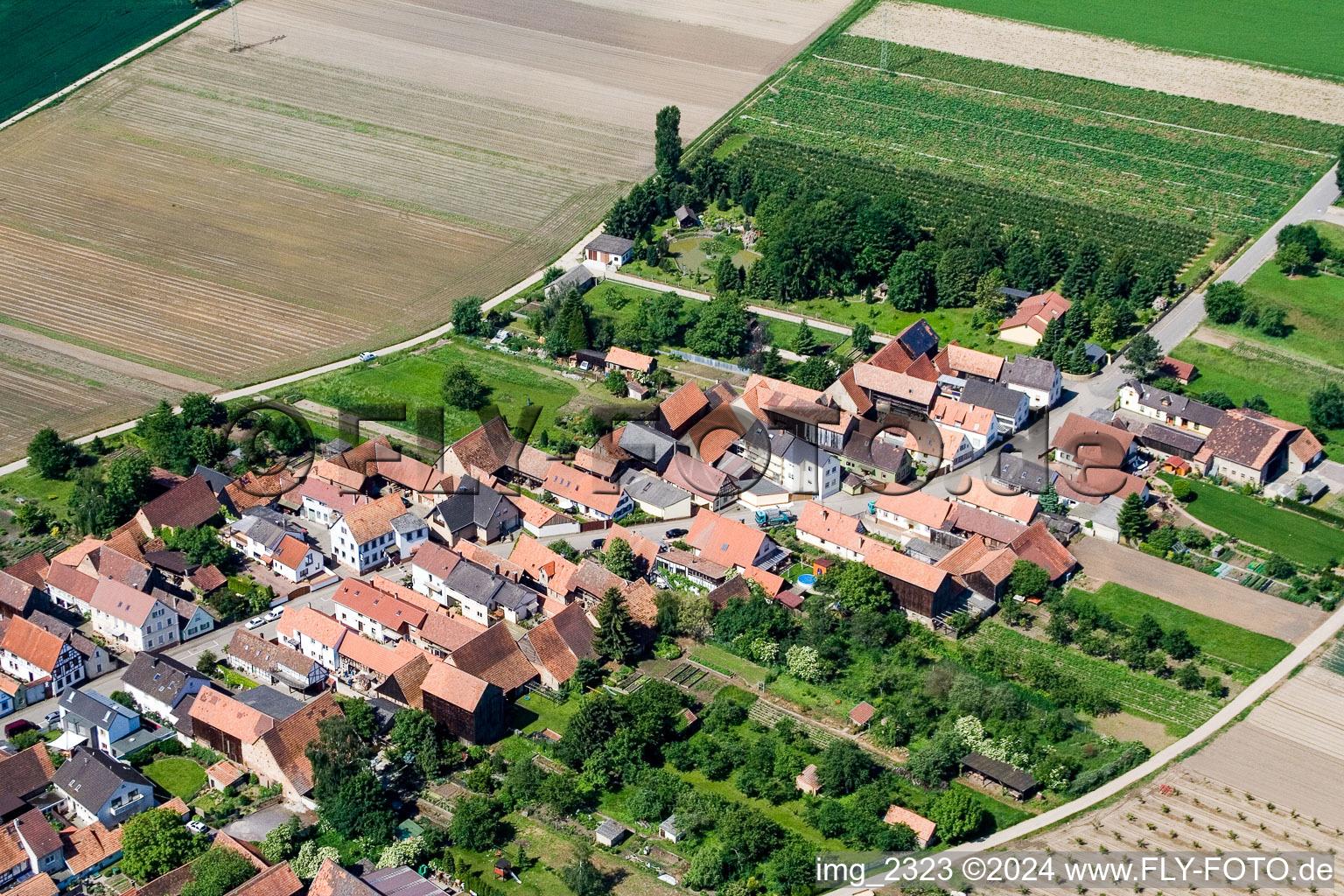 Erlenbach bei Kandel in the state Rhineland-Palatinate, Germany from above