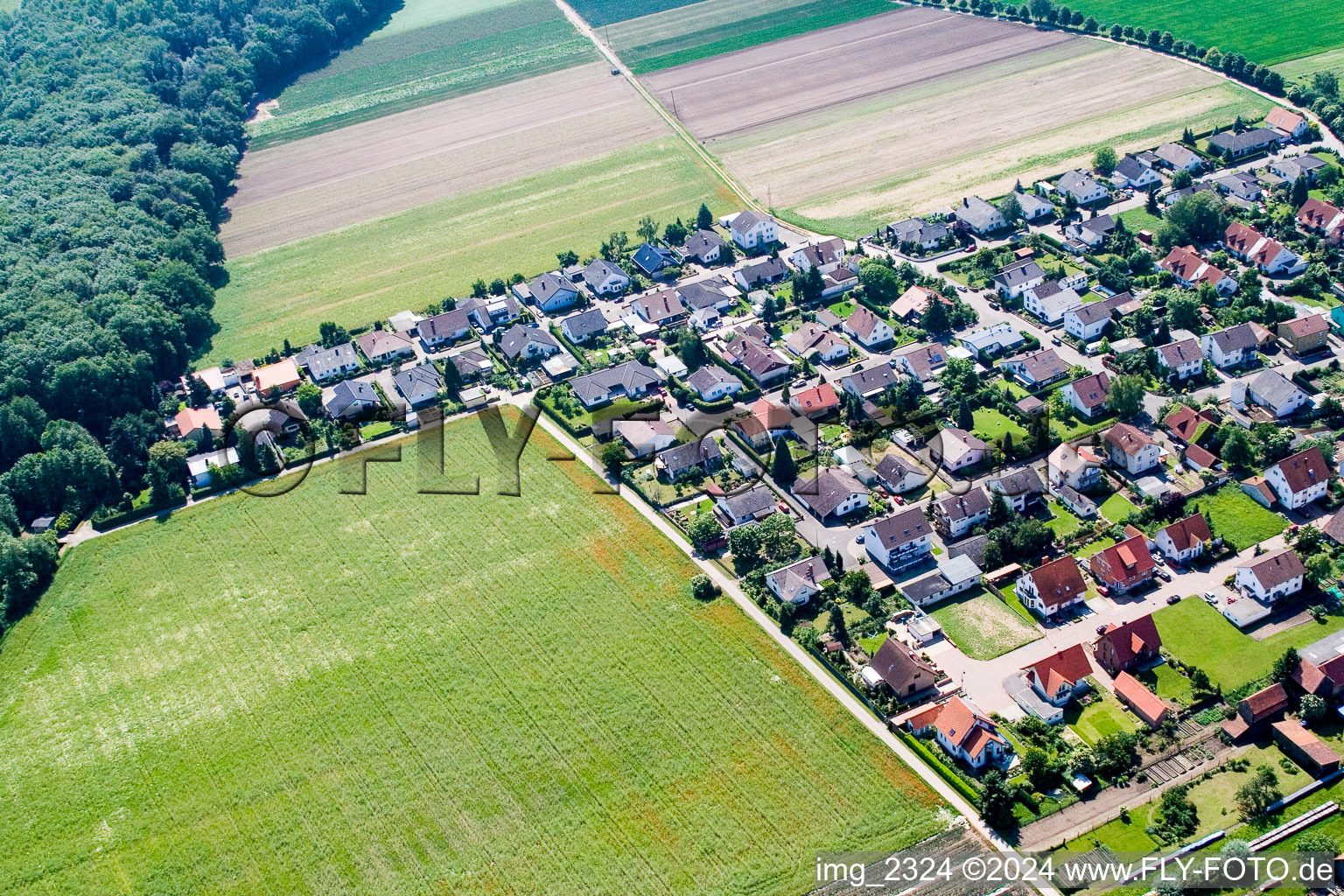 Waldstr in Erlenbach bei Kandel in the state Rhineland-Palatinate, Germany