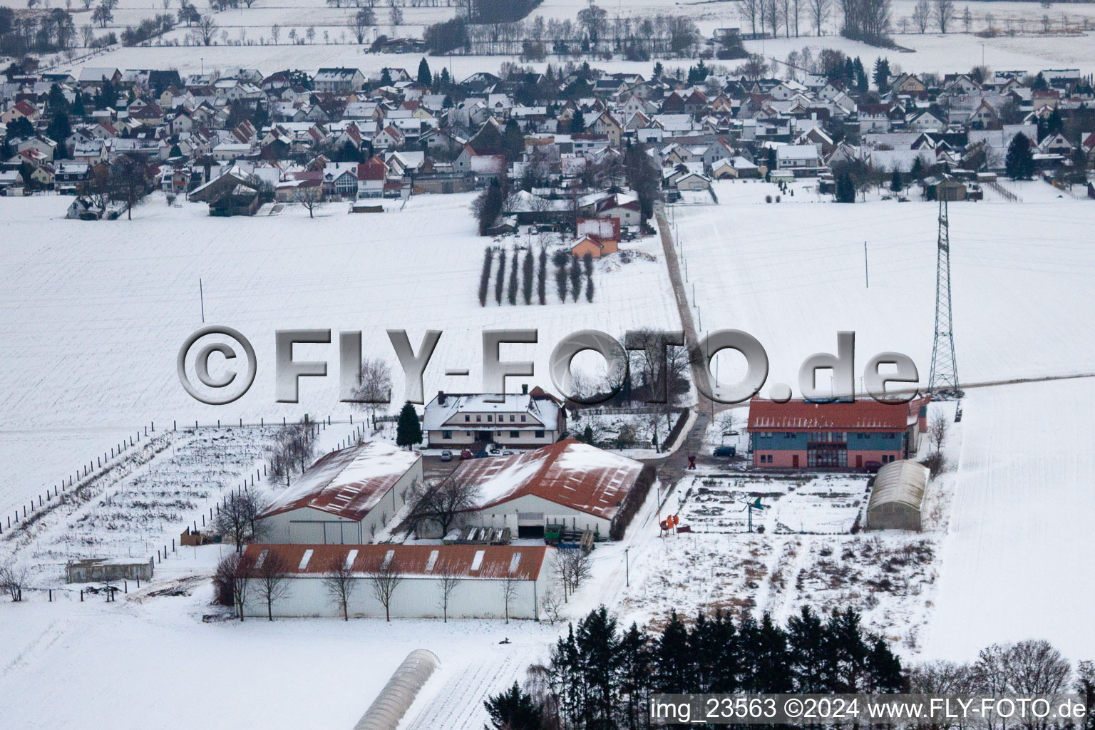 Schoßberghof in Minfeld in the state Rhineland-Palatinate, Germany from above