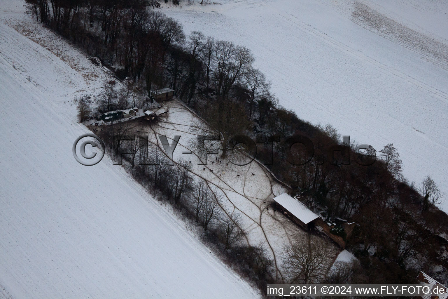 Freckenfeld in the state Rhineland-Palatinate, Germany viewn from the air