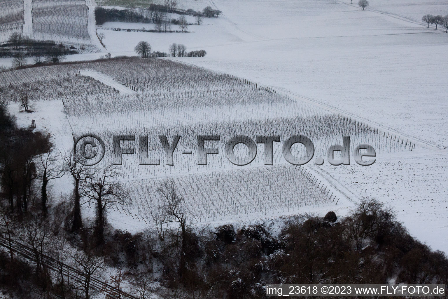 Aerial view of Winter Wingert in Freckenfeld in the state Rhineland-Palatinate, Germany