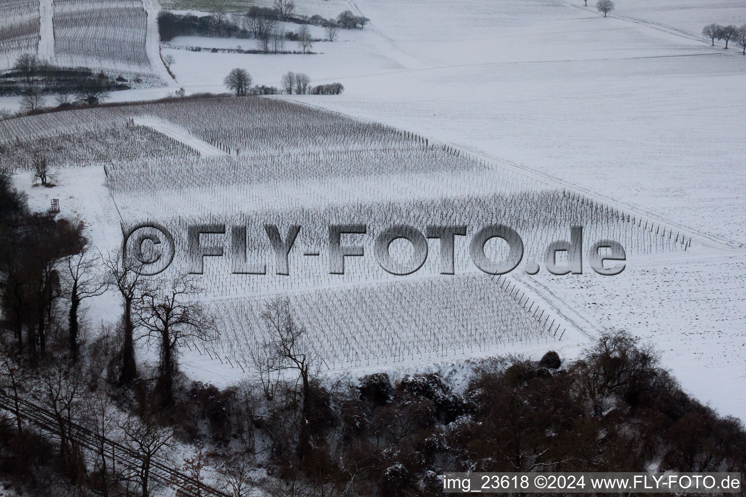 Aerial view of Winter vineyard in Freckenfeld in the state Rhineland-Palatinate, Germany