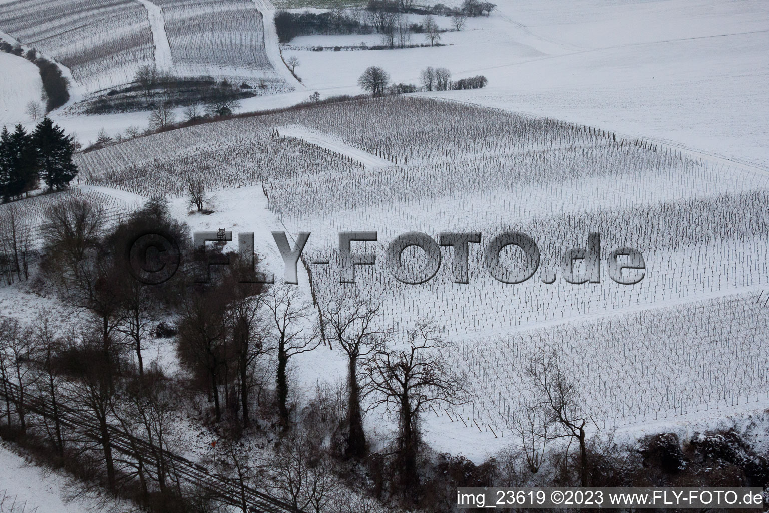Aerial photograpy of Winter Wingert in Freckenfeld in the state Rhineland-Palatinate, Germany