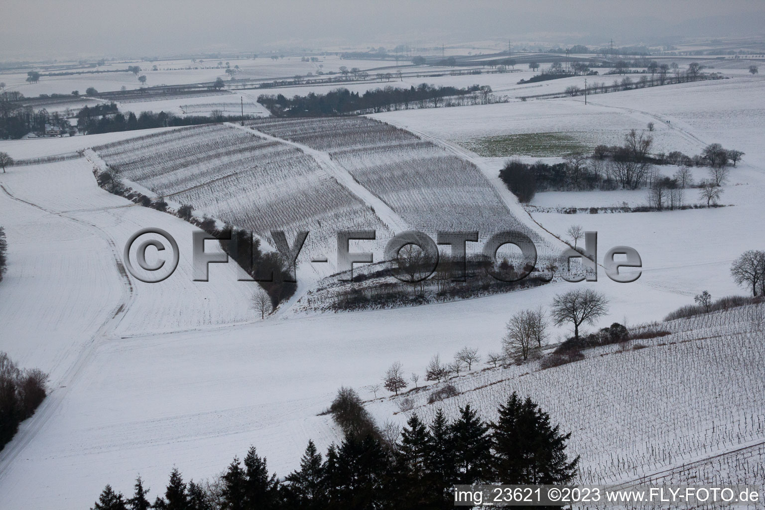 Winter Wingert in Freckenfeld in the state Rhineland-Palatinate, Germany from above