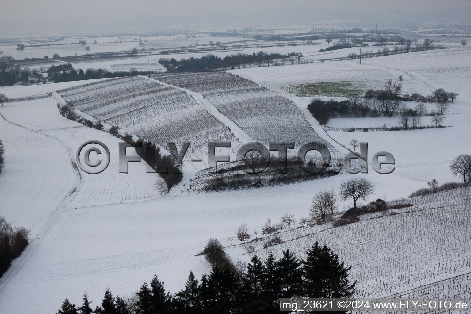 Winter vineyard in Freckenfeld in the state Rhineland-Palatinate, Germany from above