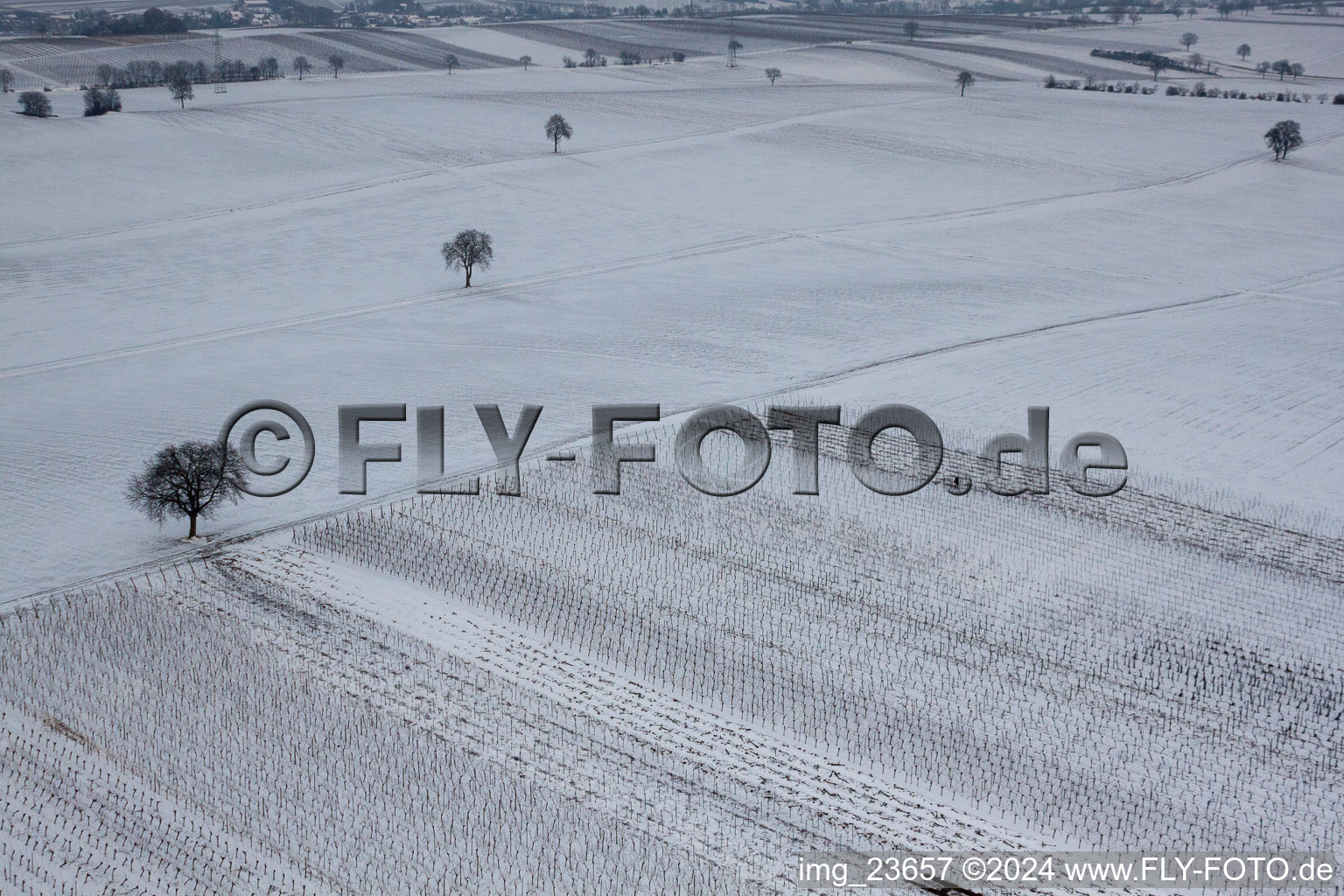 Winter vineyard in the district Kleinsteinfeld in Niederotterbach in the state Rhineland-Palatinate, Germany