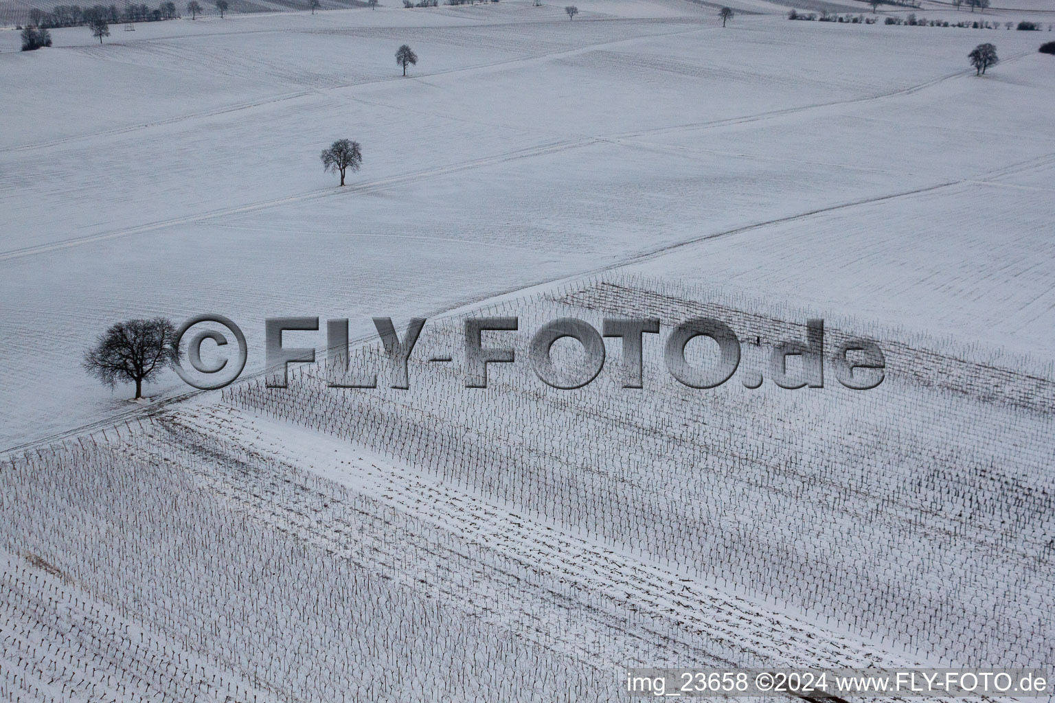 Aerial view of Winter vineyard in the district Kleinsteinfeld in Niederotterbach in the state Rhineland-Palatinate, Germany