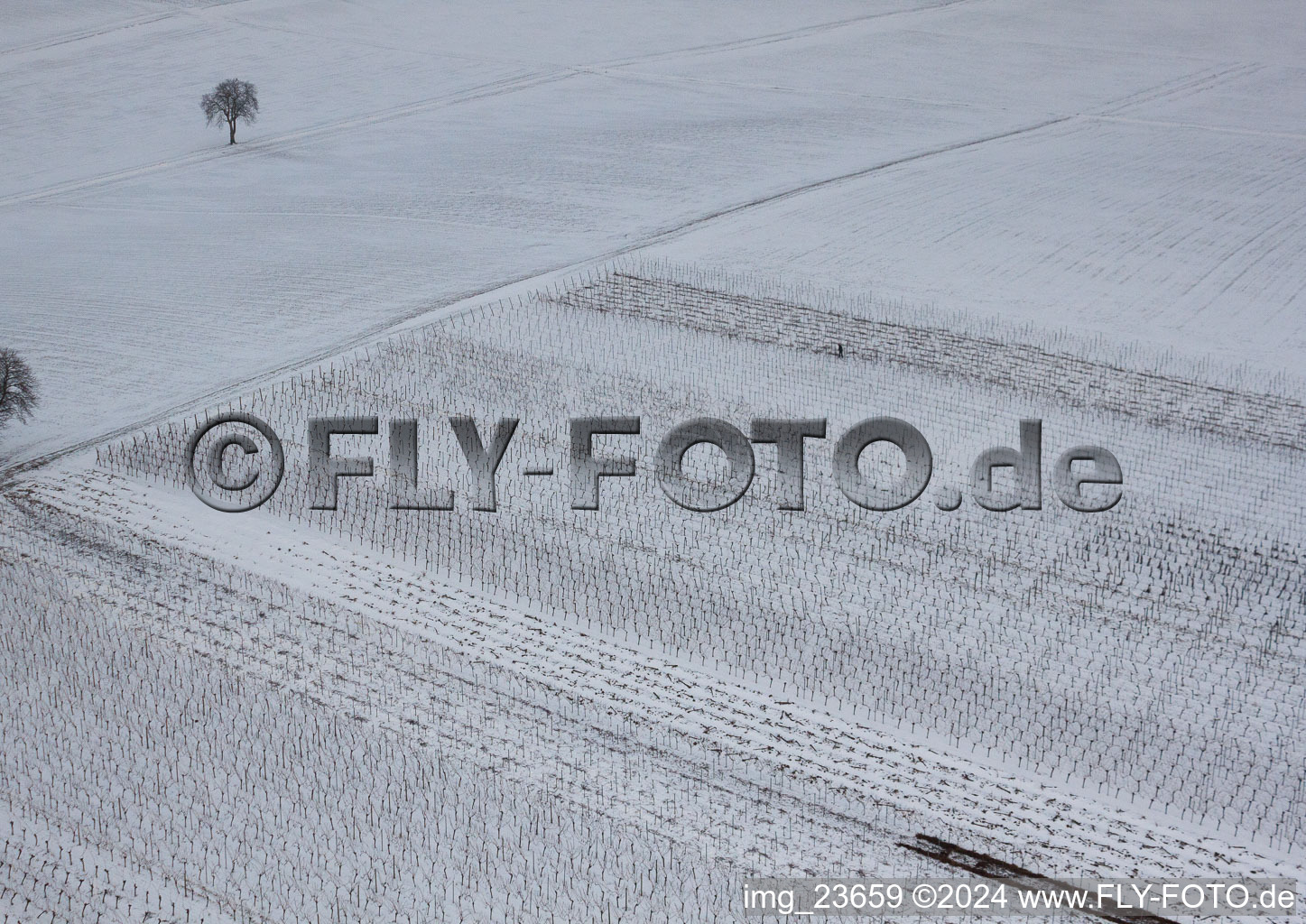 Aerial photograpy of Winter vineyard in the district Kleinsteinfeld in Niederotterbach in the state Rhineland-Palatinate, Germany