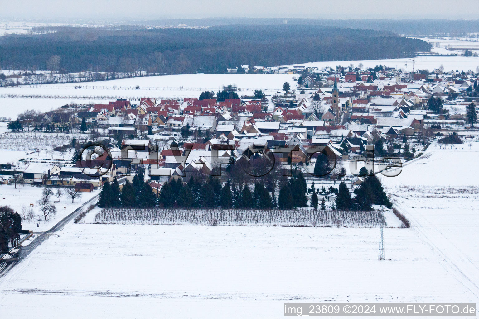 In winter when snow comes from the west in Erlenbach bei Kandel in the state Rhineland-Palatinate, Germany