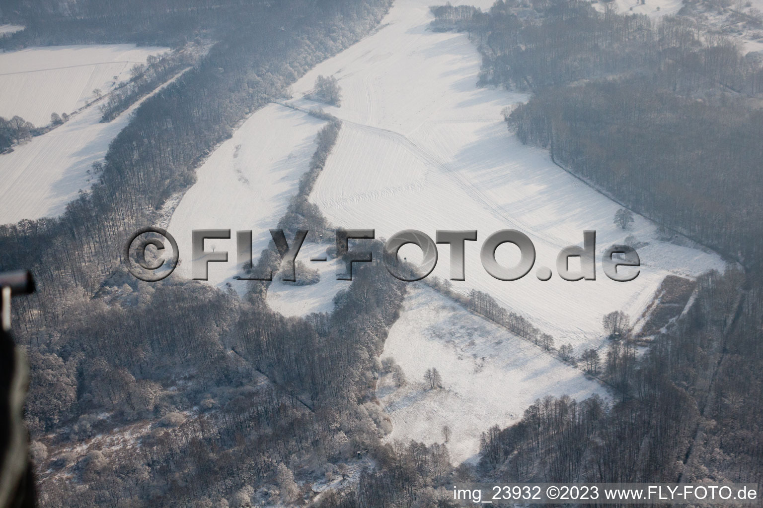 Winter forest at Otterbach in Jockgrim in the state Rhineland-Palatinate, Germany