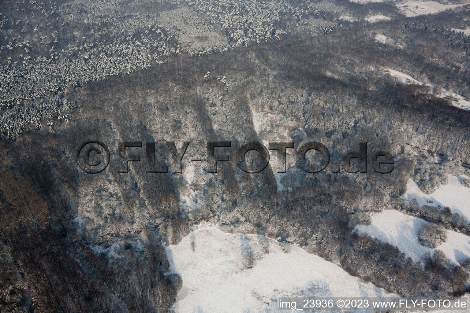 Aerial view of Winter forest at Otterbach in Jockgrim in the state Rhineland-Palatinate, Germany