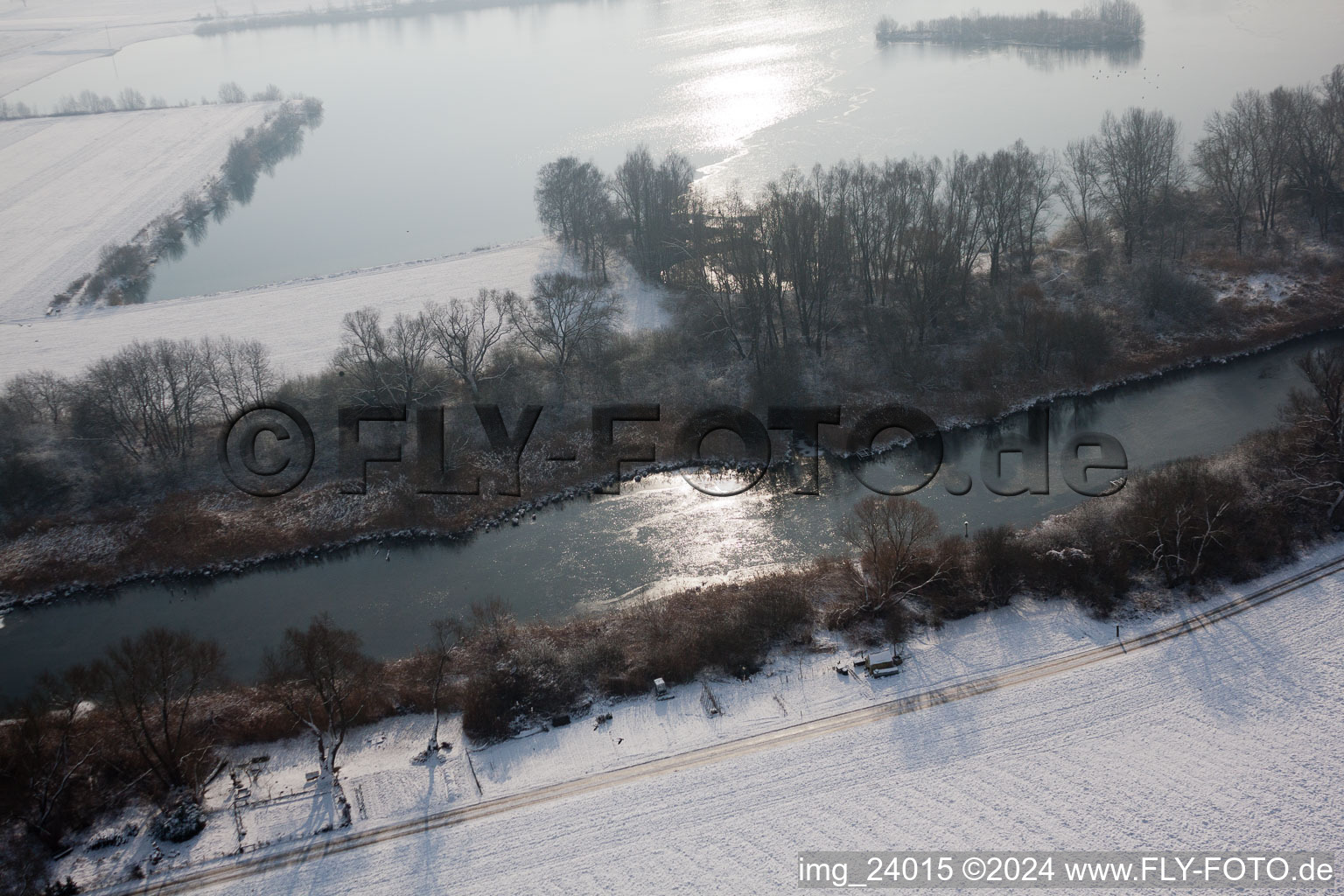 Old Rhine in winter in Neupotz in the state Rhineland-Palatinate, Germany