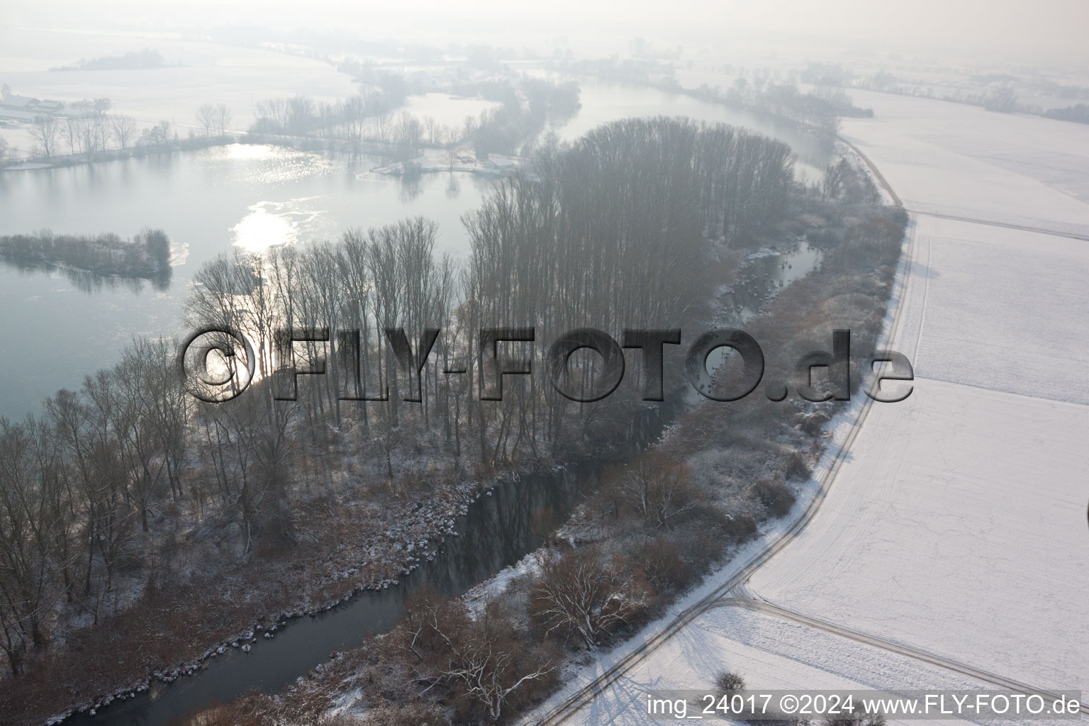 Aerial photograpy of Old Rhine in winter in Neupotz in the state Rhineland-Palatinate, Germany