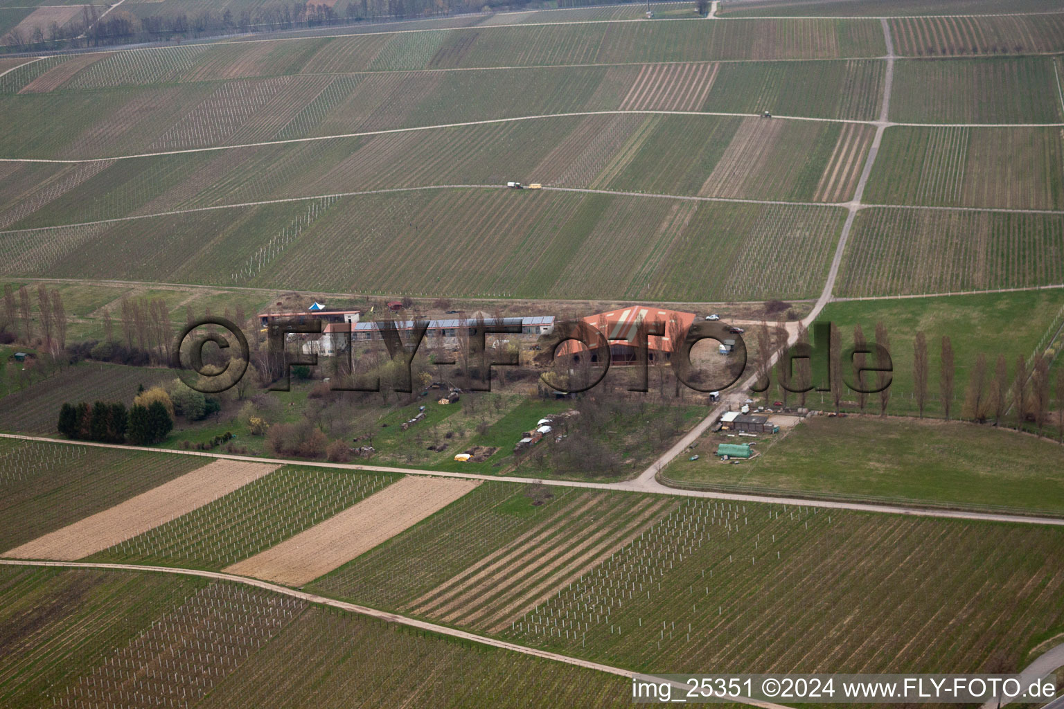 Oblique view of At the Ahlmühle in Ilbesheim bei Landau in der Pfalz in the state Rhineland-Palatinate, Germany