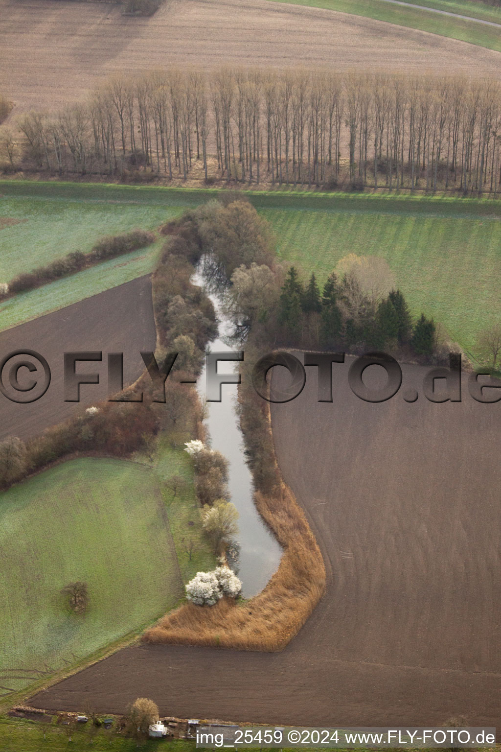 District Maximiliansau in Wörth am Rhein in the state Rhineland-Palatinate, Germany from above