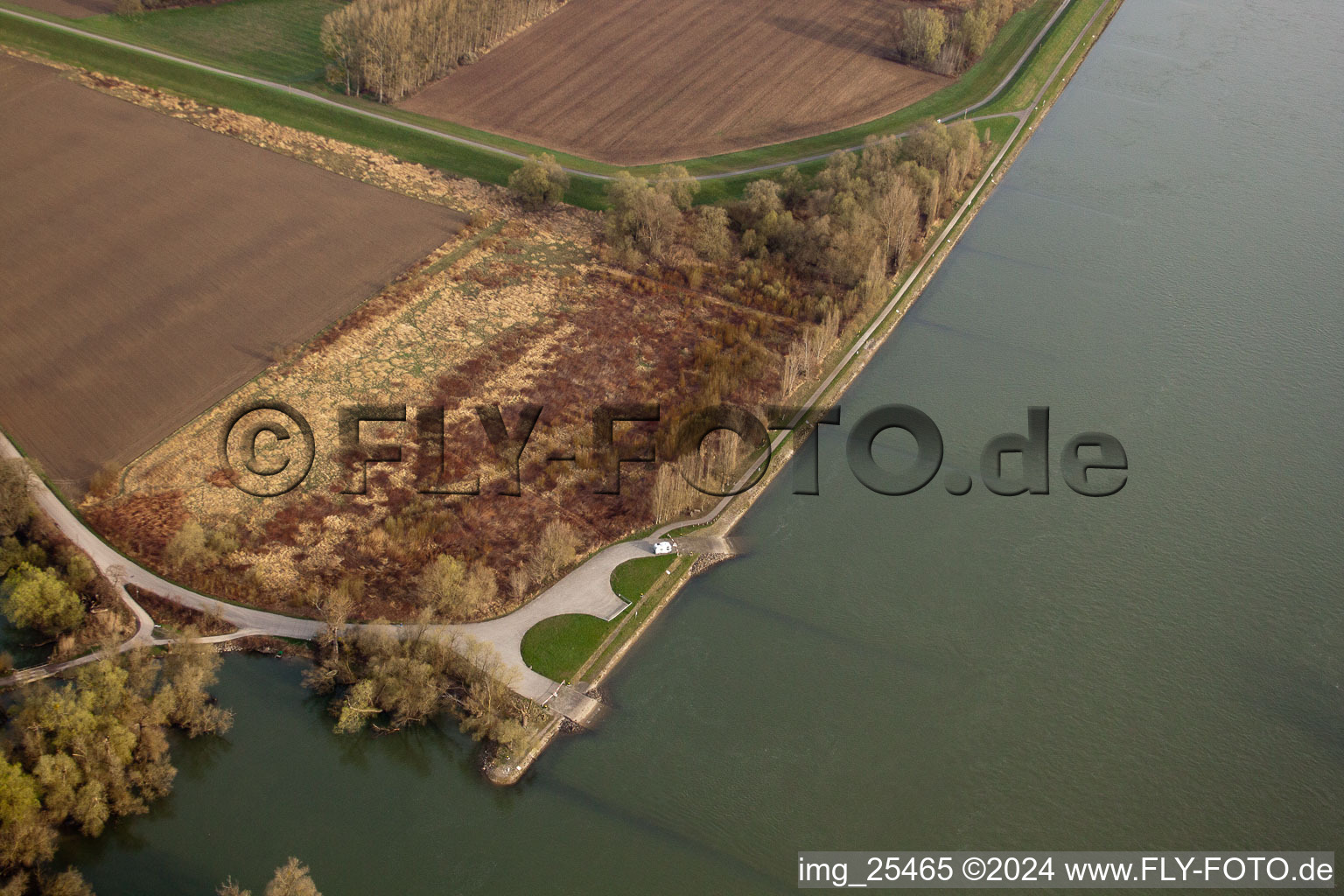 Old Rhine bank in the district Maximiliansau in Wörth am Rhein in the state Rhineland-Palatinate, Germany