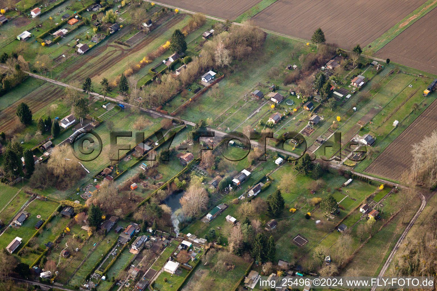 Allotments in the district Daxlanden in Karlsruhe in the state Baden-Wuerttemberg, Germany