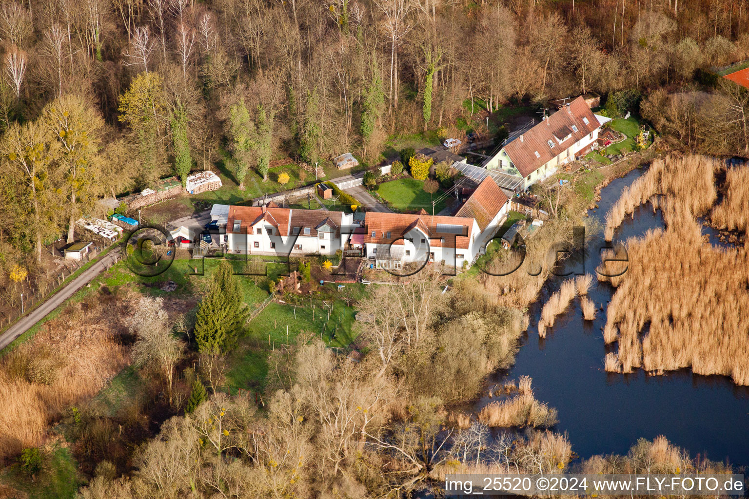 Aerial photograpy of Biotopes on the forest path in the district Neuburgweier in Rheinstetten in the state Baden-Wuerttemberg, Germany