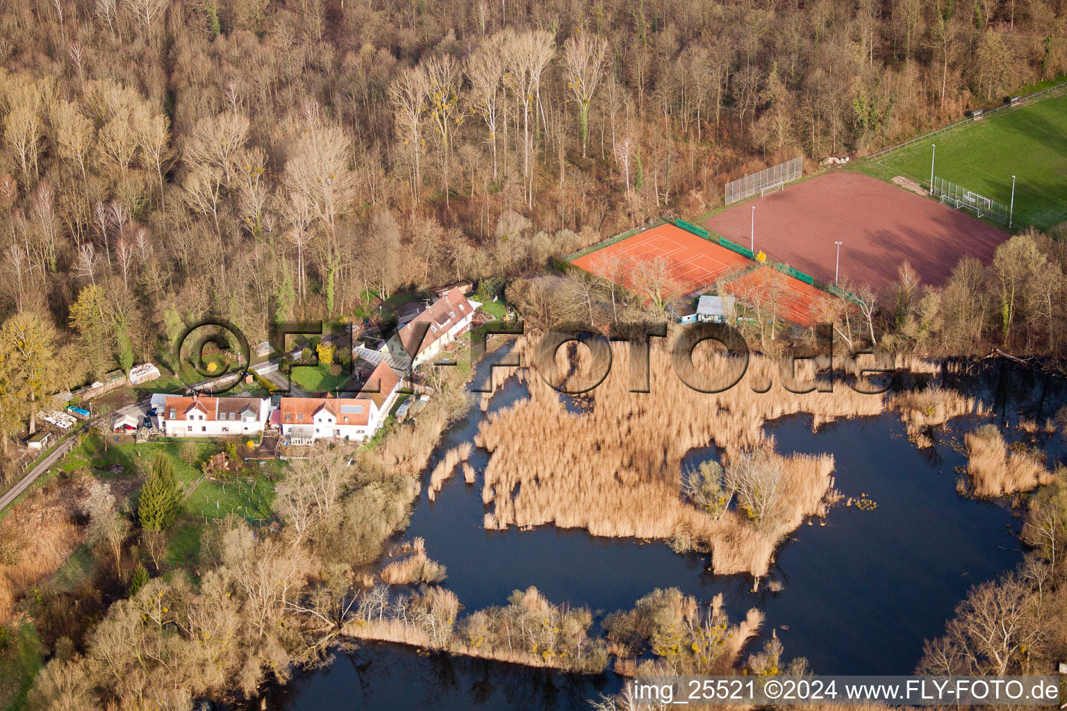 Oblique view of Biotopes on the forest path in the district Neuburgweier in Rheinstetten in the state Baden-Wuerttemberg, Germany