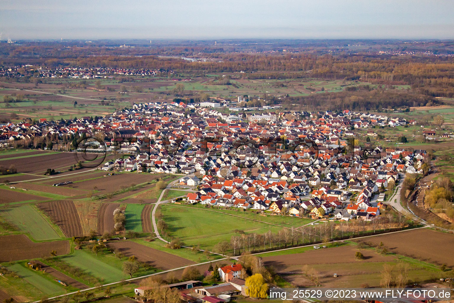 From the northeast in Au am Rhein in the state Baden-Wuerttemberg, Germany